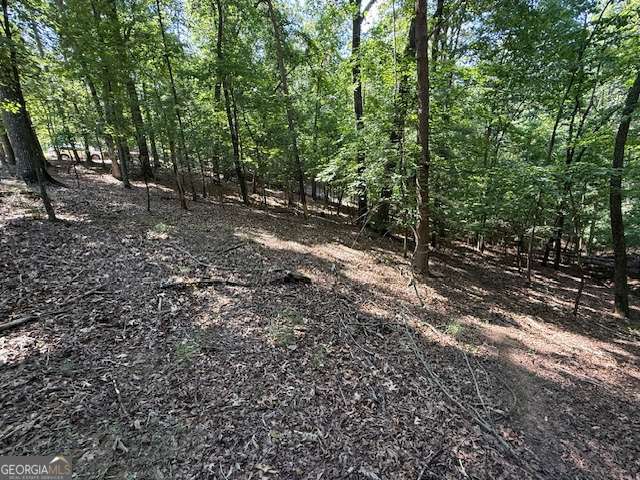 2115 Palisade DR