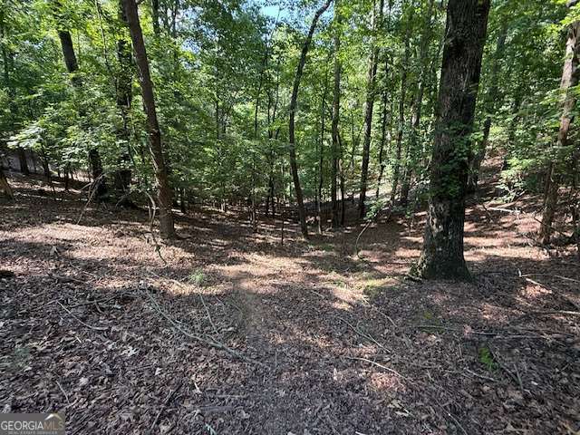 Beautiful, gentle sloping lot in gated Coosawattee River Resort-perfect for building your dream mountain getaway or full-time home. Located on all paved roads in a quiet section of the community, yet just minutes from downtown Ellijay. Enjoy top-tier amenities including 3 pools (one is indoor and heated), fitness center, tennis, pickleball, basketball, 19-hole mini golf, and multiple riverside parks ideal for tubing or kayaking. This lot offers great potential for a basement walkout design. Short-term rentals are allowed, making this a fantastic investment or vacation home opportunity. Come live the mountain life!