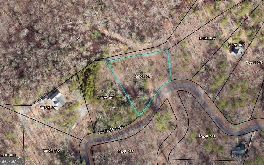 Photo of 508 Chicasaw Drive, Ellijay, GA 30540 (MLS # 10839777)