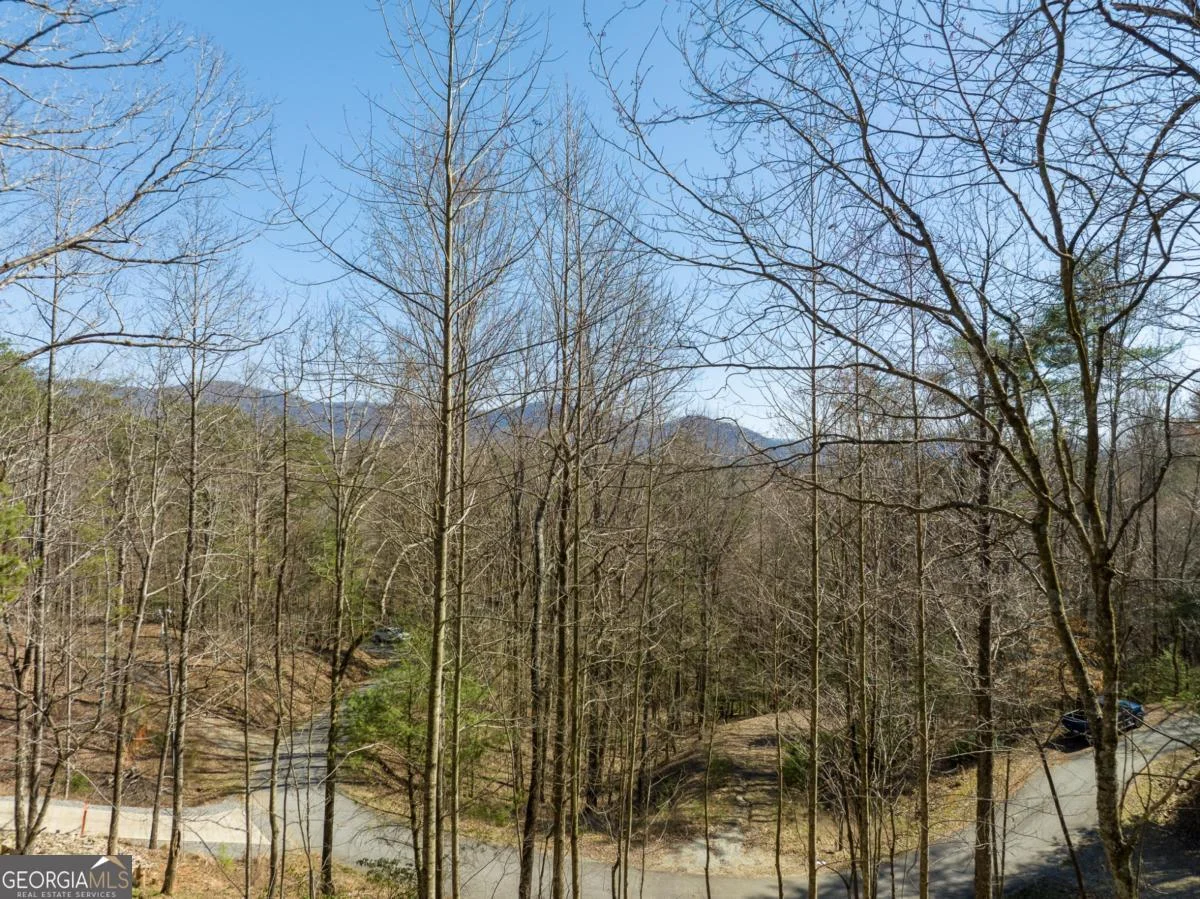 LOT 508 Chicasaw Drive, Ellijay, GA, 30540