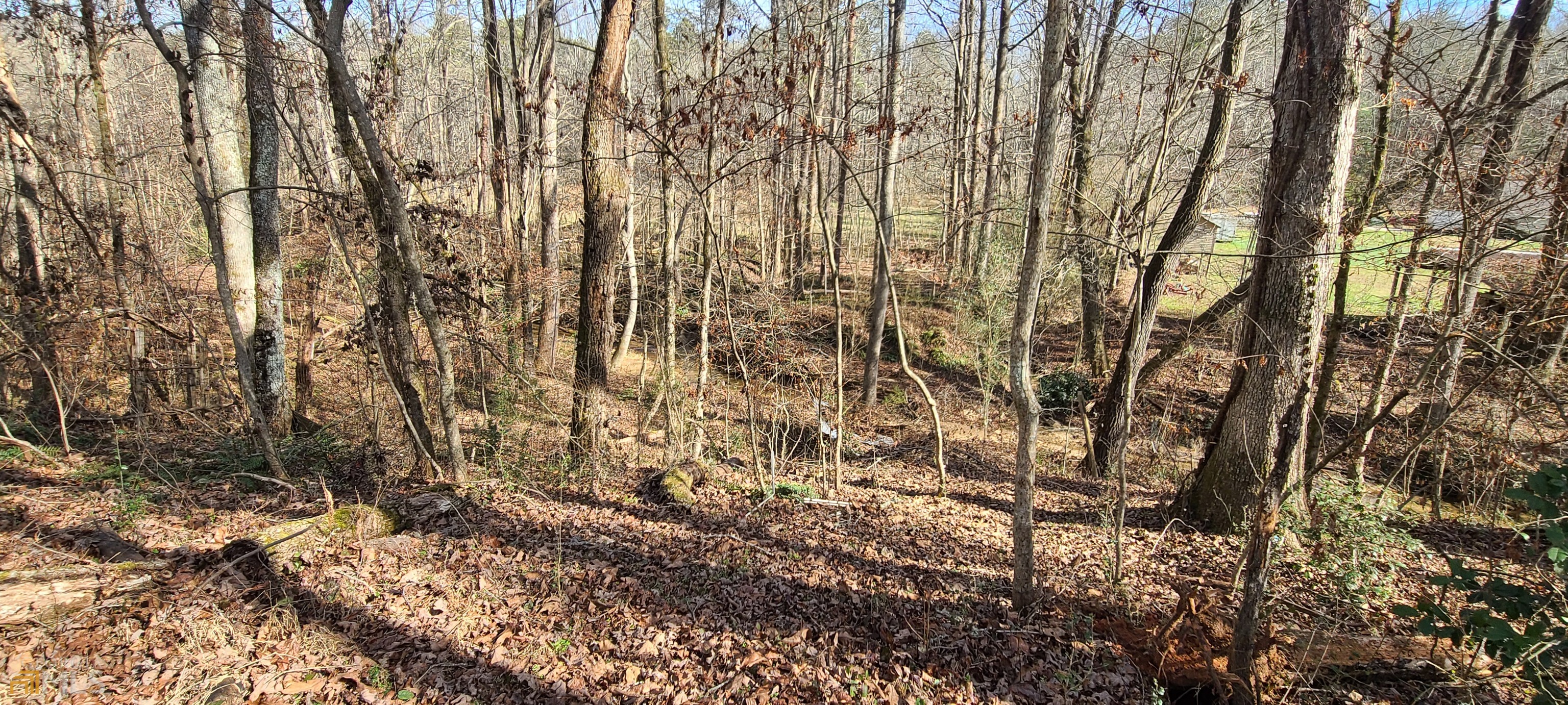 Chattahoochee Forest - Residential