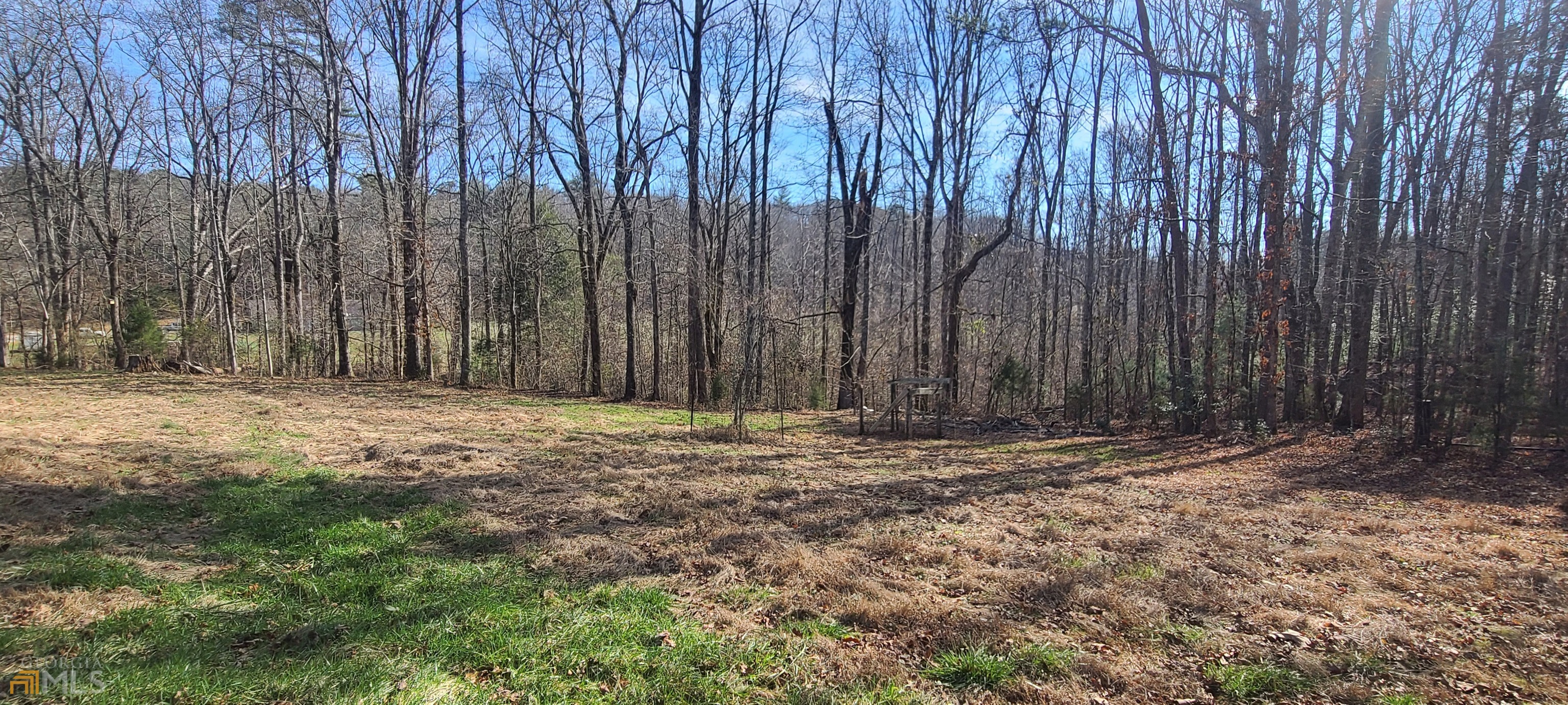 Chattahoochee Forest - Residential