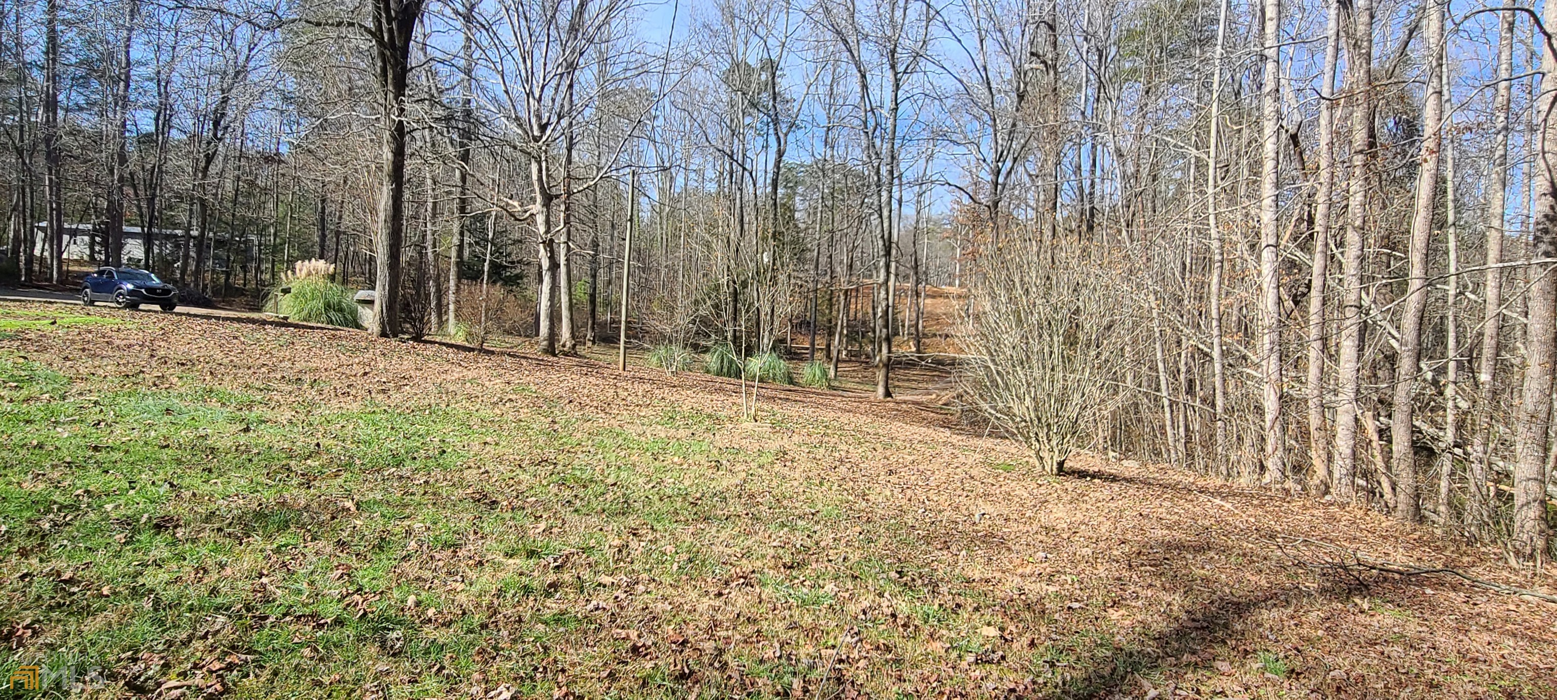 Chattahoochee Forest - Residential