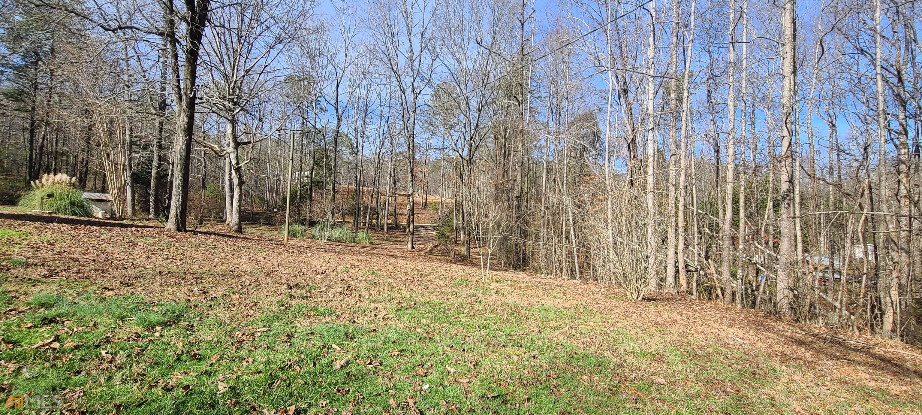 Chattahoochee Forest - Residential
