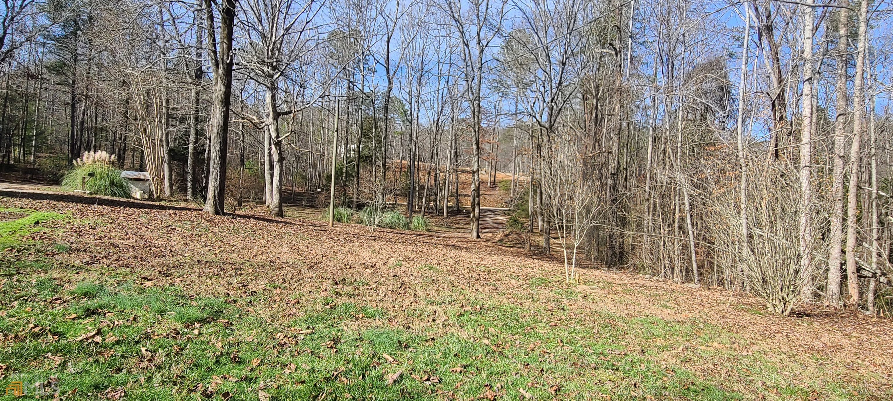 Chattahoochee Forest - Residential