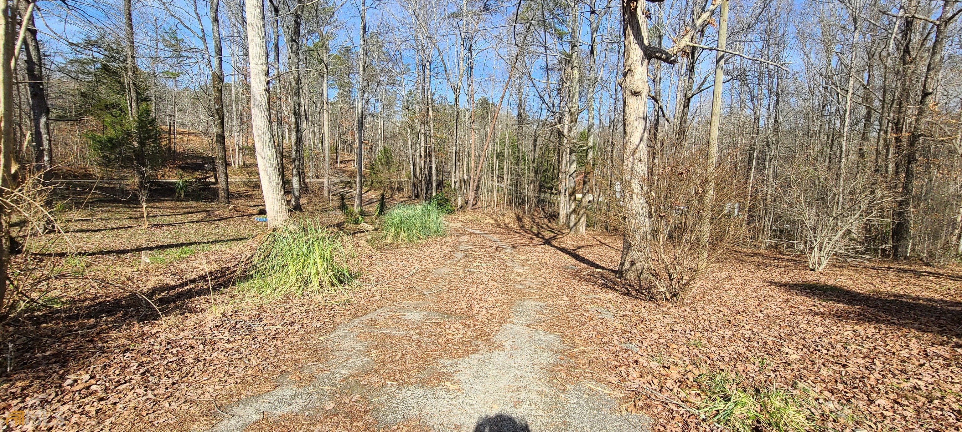 Chattahoochee Forest - Residential