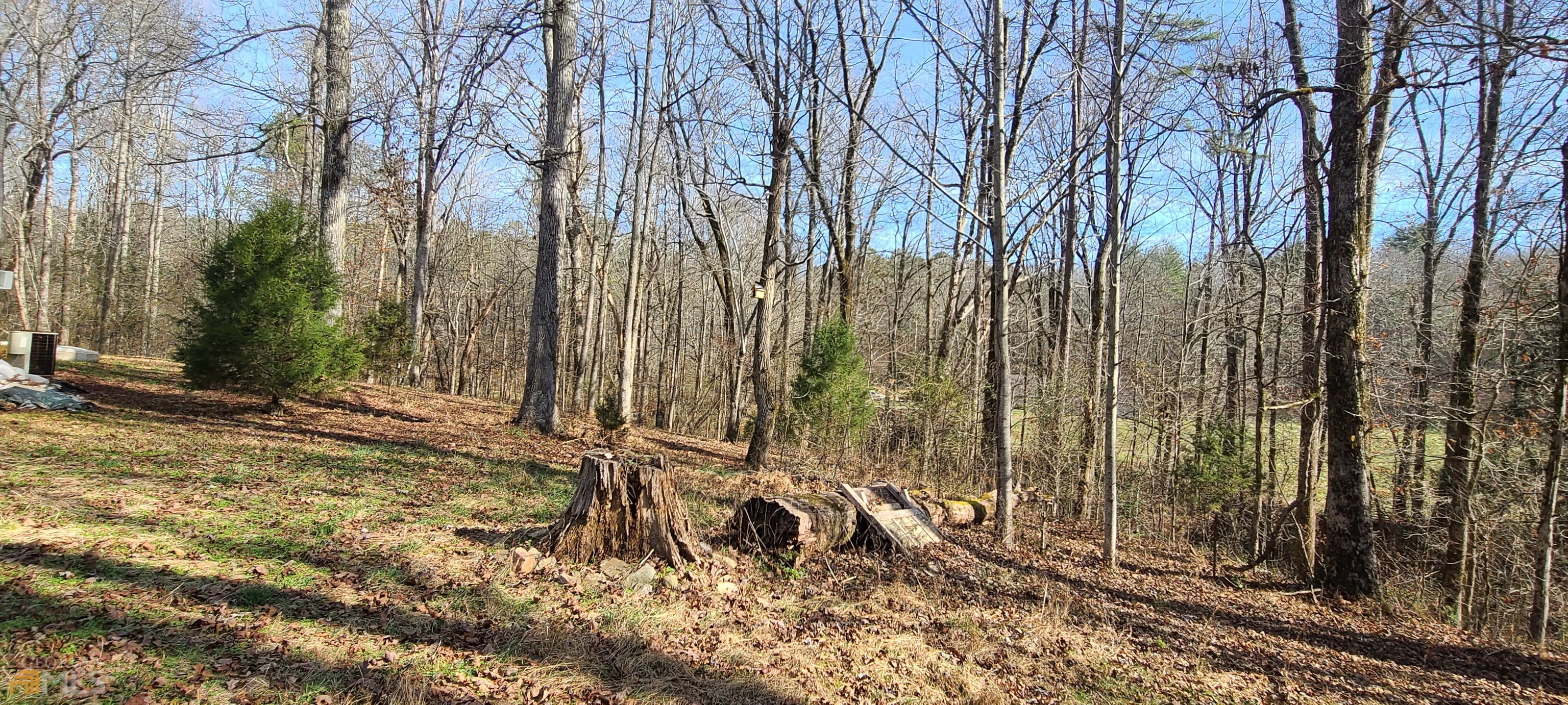 Chattahoochee Forest - Residential