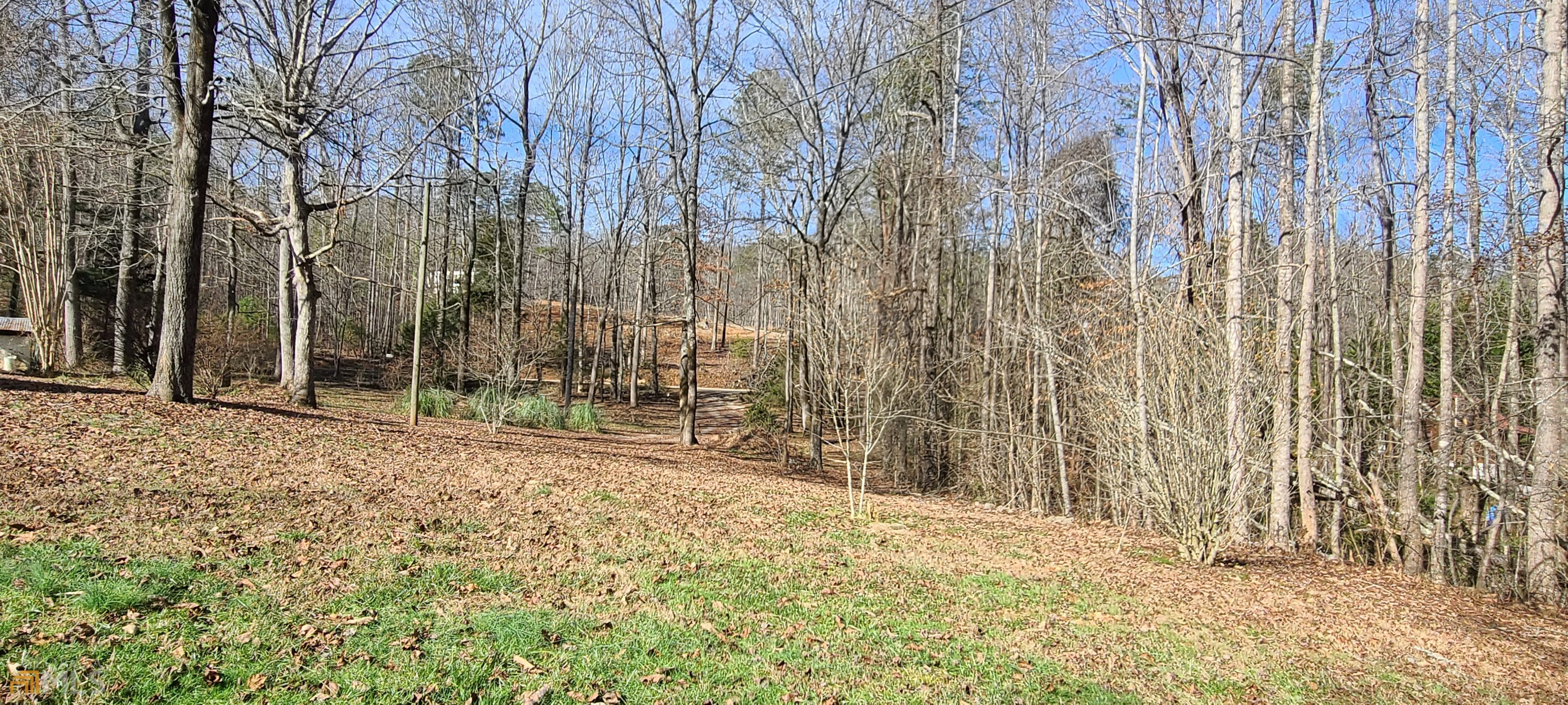 Chattahoochee Forest - Residential