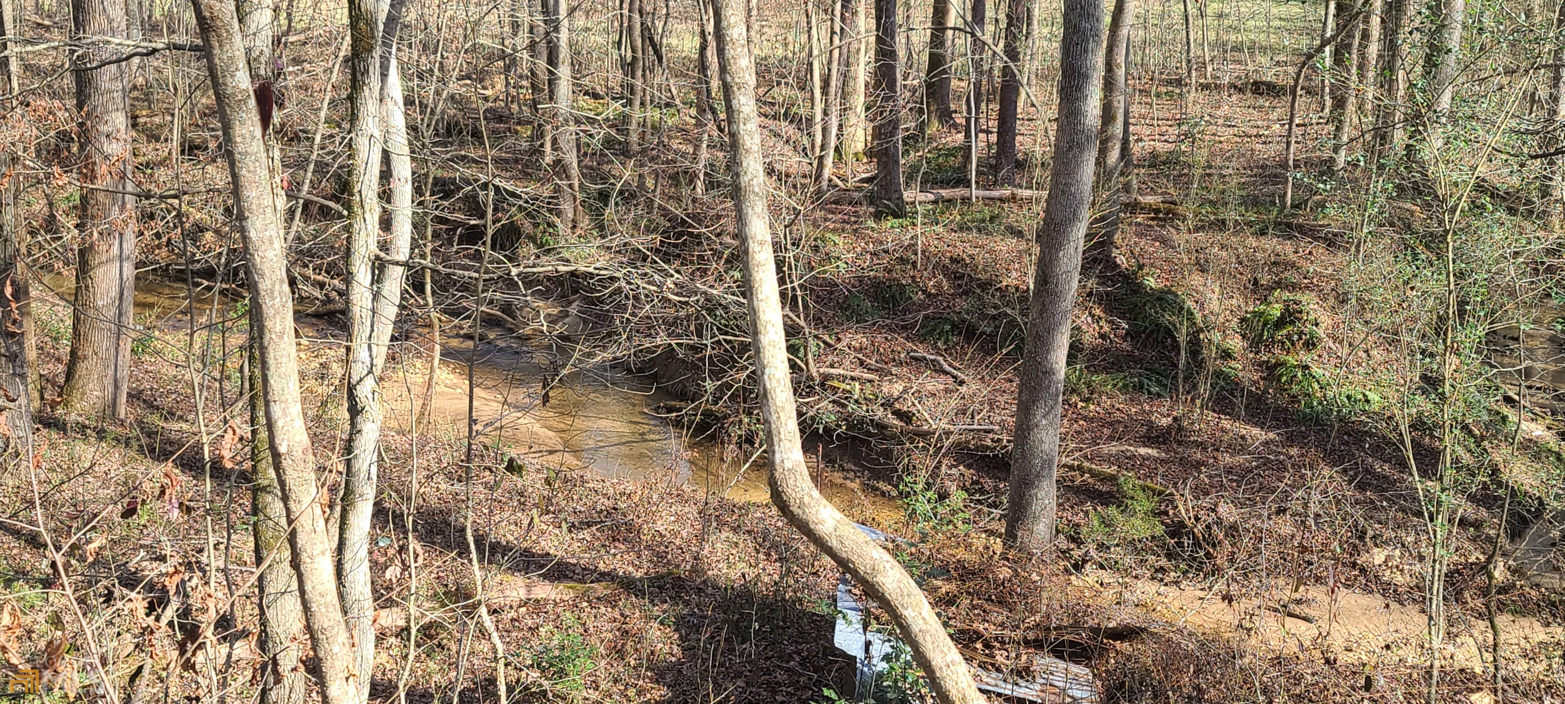 Chattahoochee Forest - Residential