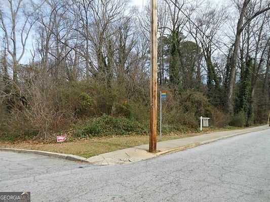 1919 VIRGINIA AVE, ATLANTA, GA 30337 - Image dc1837e8a3e326b7e183f563b6d8bd9c/3558870617