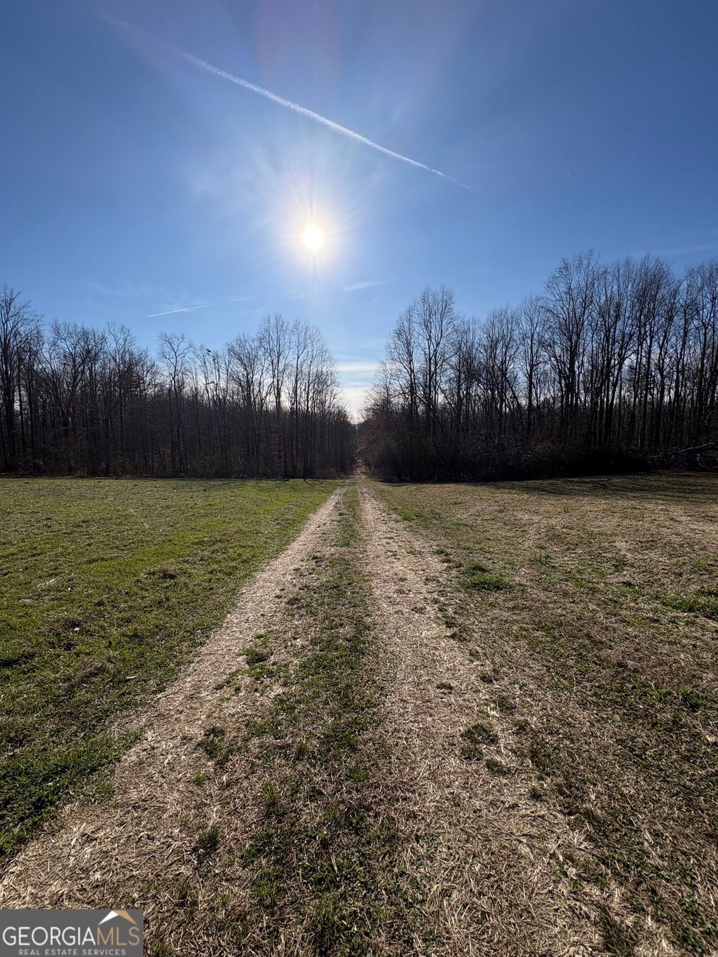 Photo of 6 Stonepile Road, Clarkesville, GA 30523 (MLS # 10842826)