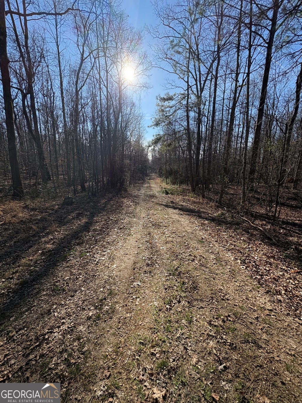 Photo of 6 Stonepile Road, Clarkesville, GA 30523 (MLS # 10842826)