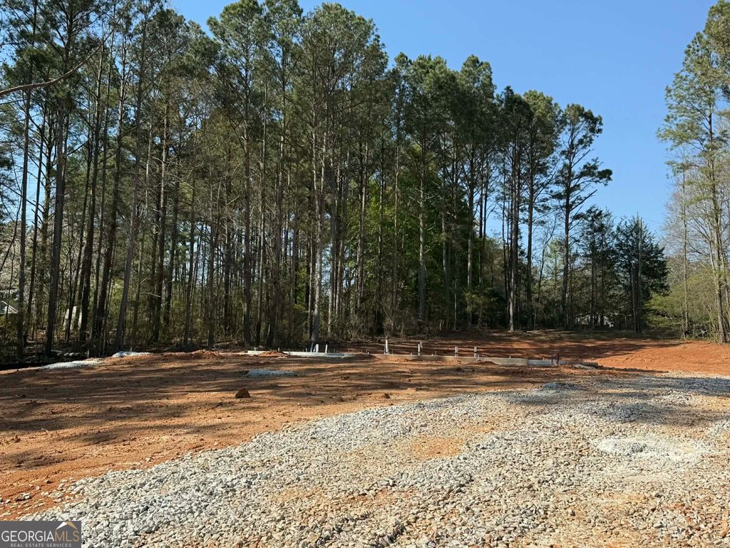 Photo of 363 Laney Road, McDonough, GA 30252 (MLS # 10714264)