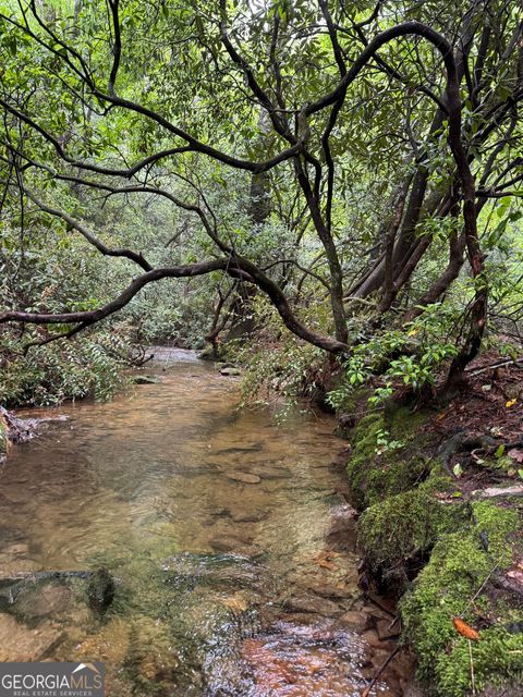 001 Harmony RD Blairsville GA 30512