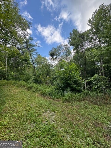 Photo for 0 CREST LN LOT 5