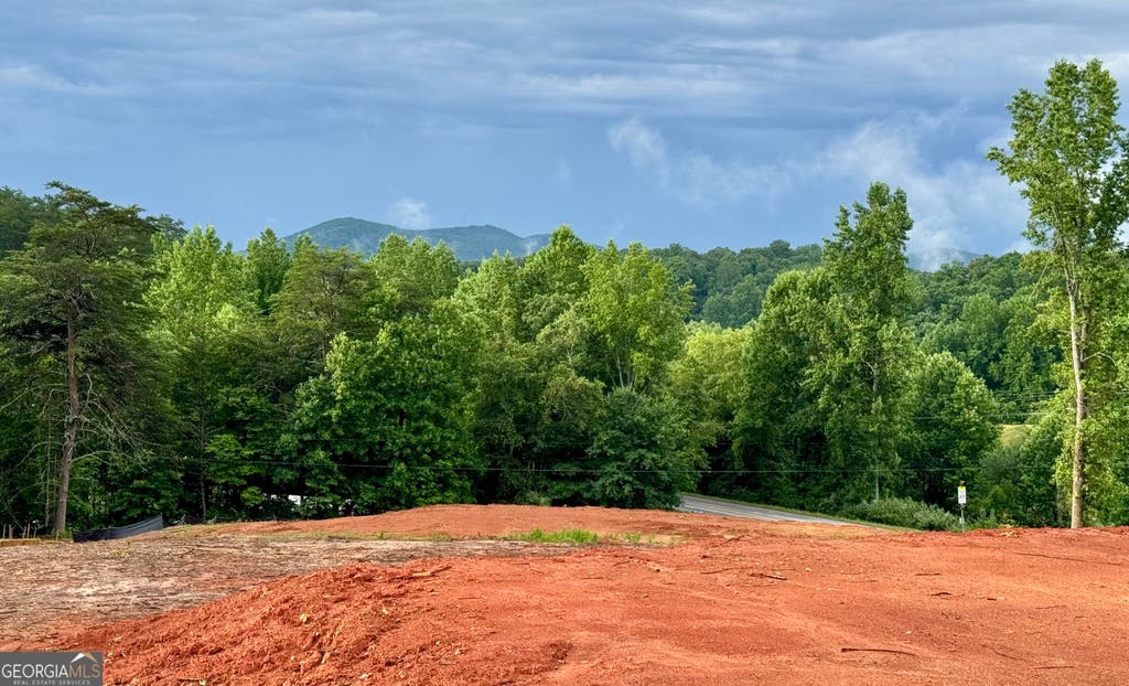 Photo of 25 Caudell Drive, Cleveland, GA 30528 (MLS # 10782330)