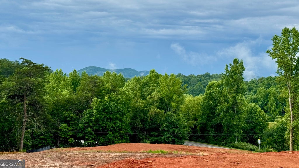 Photo of 25 Caudell Drive, Cleveland, GA 30528 (MLS # 10782330)