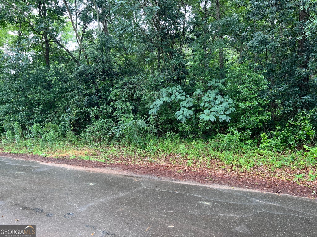 Photo of 0 Harmony, Richland, GA 31825 (MLS # 10790866)