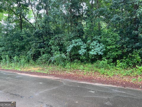 Photo of 0 Harmony, Richland, GA 31825 (MLS # 10790866)
