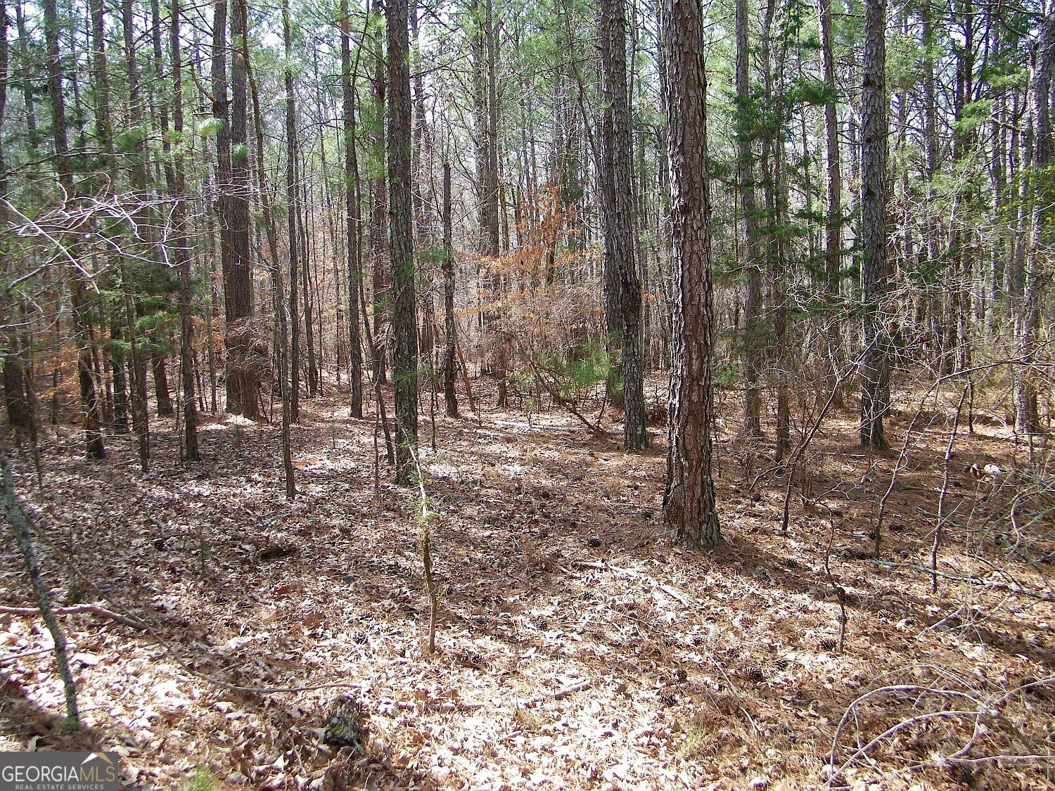 LOT 11 Blackberry Bend