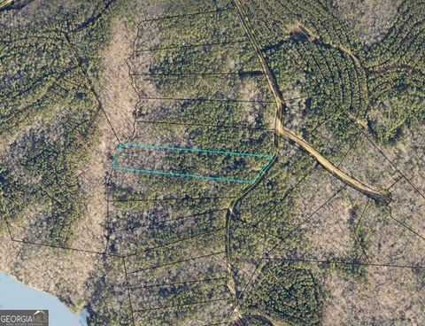 LOT 11 Blackberry Bend Elberton GA 30635