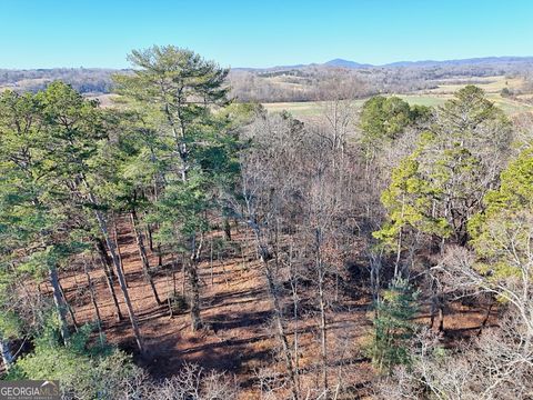 #3 Annandale Drive Clarkesville GA 30523