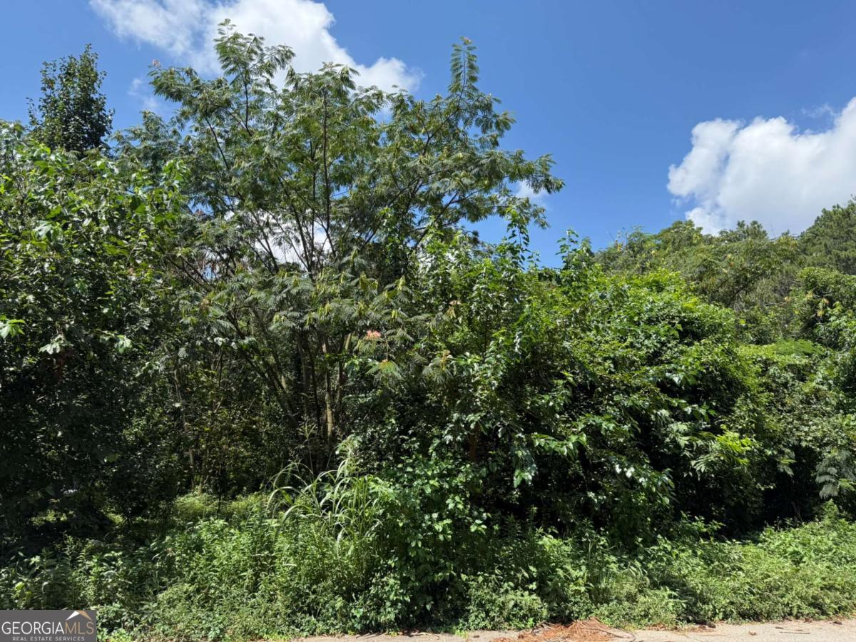This listing is for two adjacent lots, 2637 & 2647 Beeler Dr SW, being sold as an assemblage. Acreage and taxes reflect the totals of both lots.