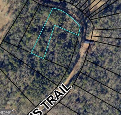Photo of 0 Morris Trail LOT 2, Carnesville, GA 30521 (MLS # 10728918)
