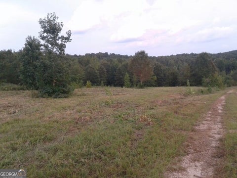 Photo of 354 Anna Claire Court, Monticello, GA 31064 (MLS # 10826070)