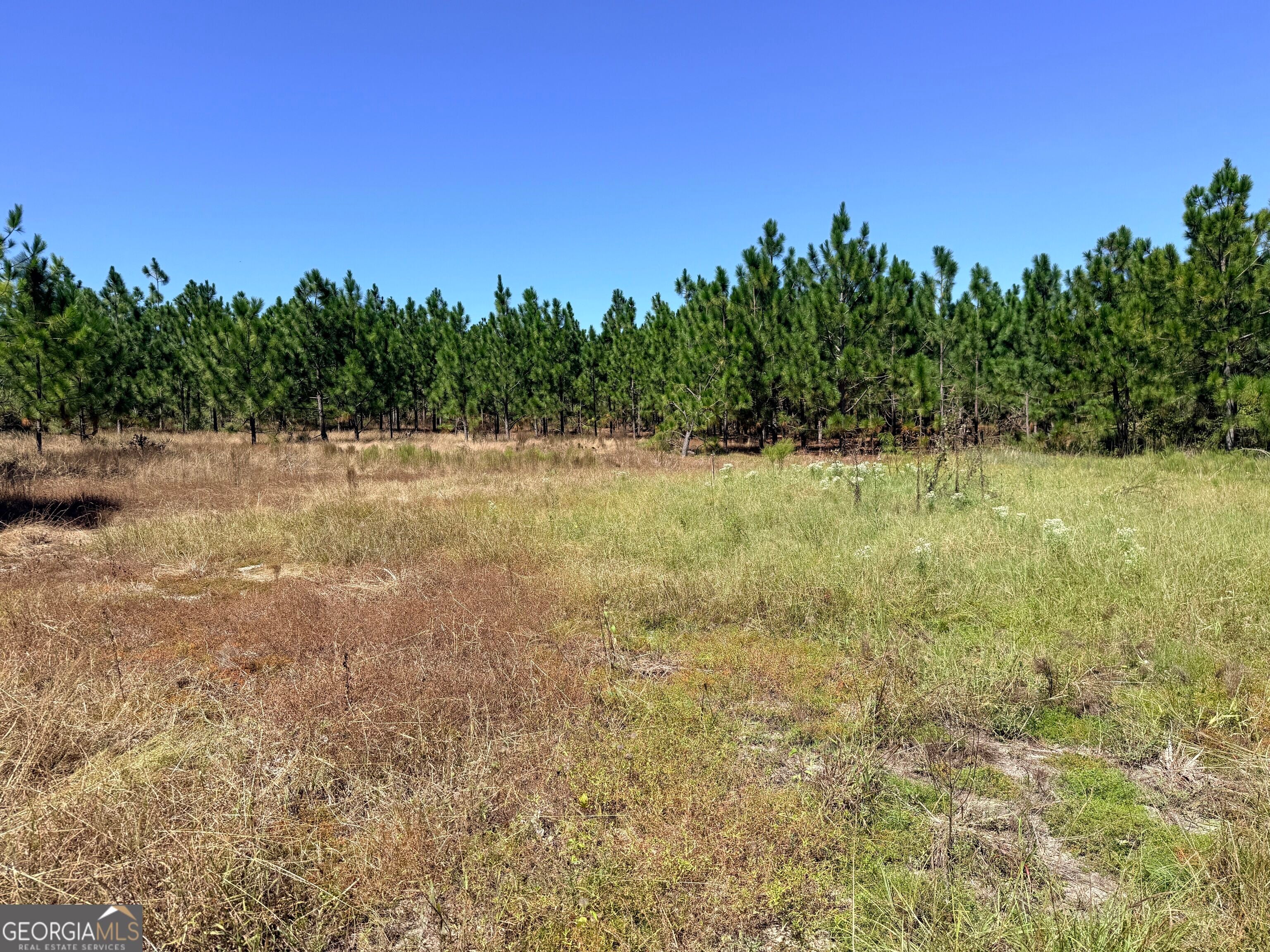 0 Altamaha Rd