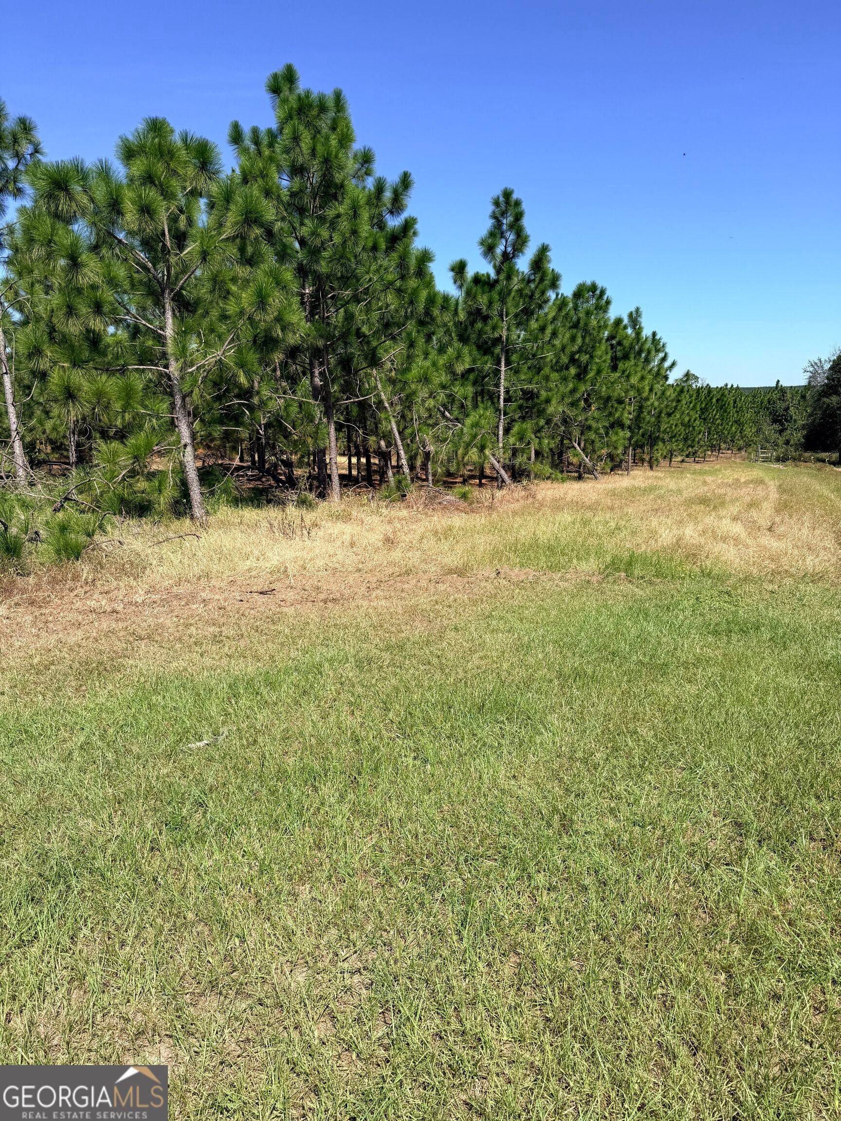 0 Altamaha Rd