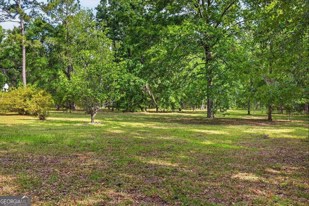 Photo of 110 Douglas Loop, Rocky Ford, GA 30455 (MLS # 10770375)