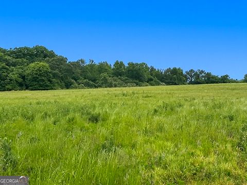 Photo of 258 Whiting Road, Lavonia, GA 30553 (MLS # 10752915)