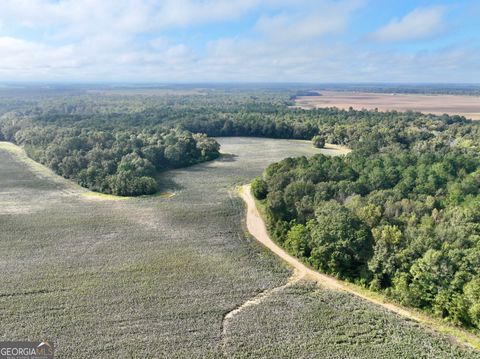 Photo of 136 Pope Road, Pineview, GA 31071 (MLS # 10622385) Photo of 136 Pope Road, Pineview, GA 31071 (MLS # 10622385)