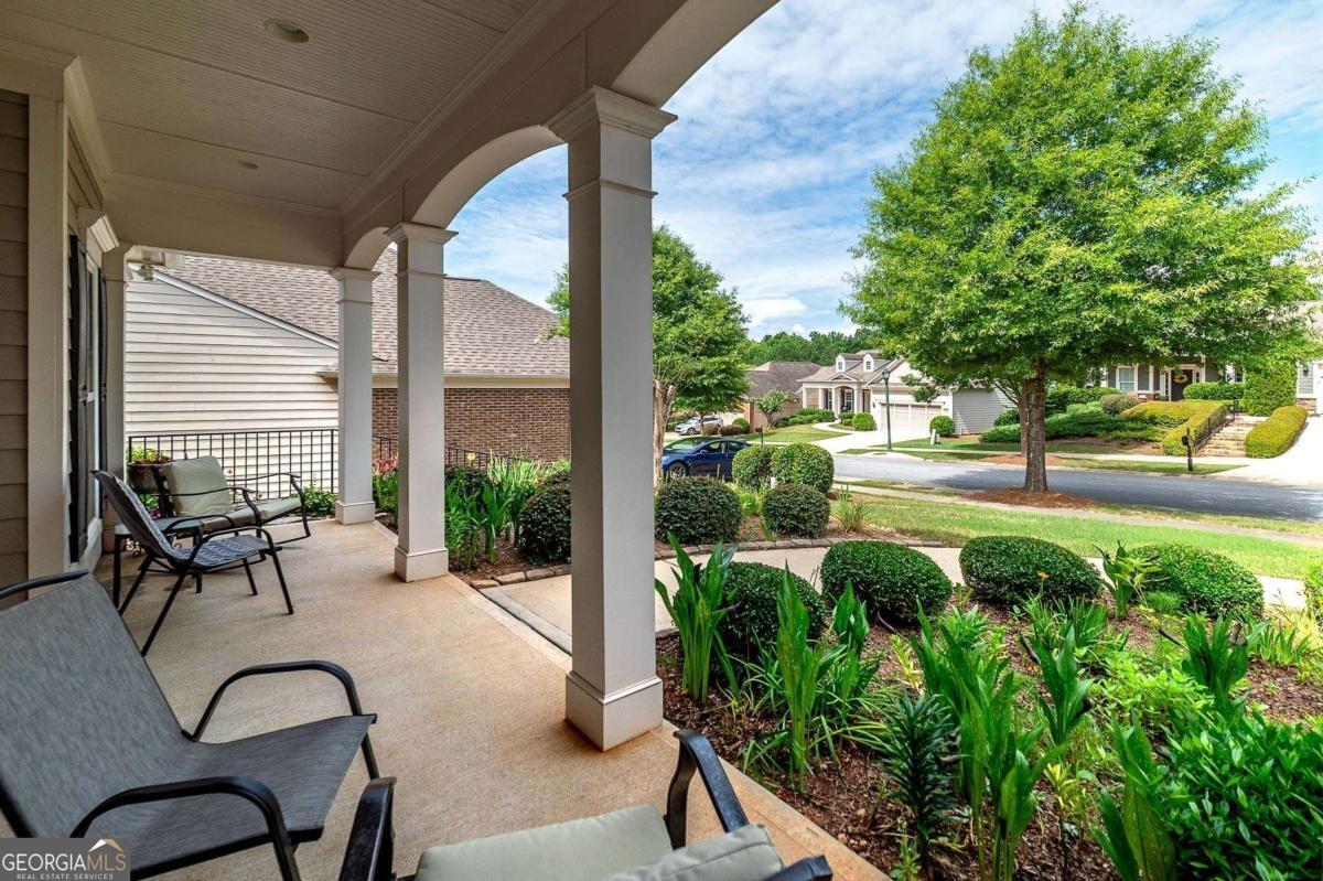 230 Begonia CT