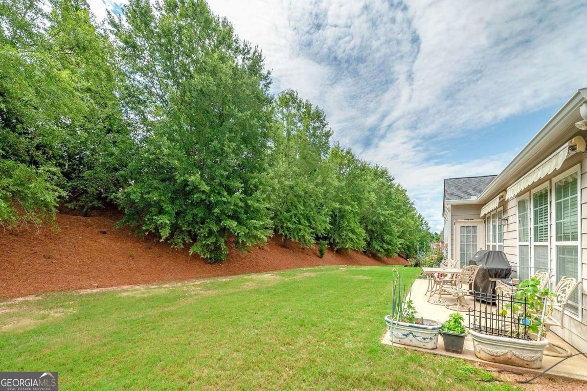 230 Begonia CT