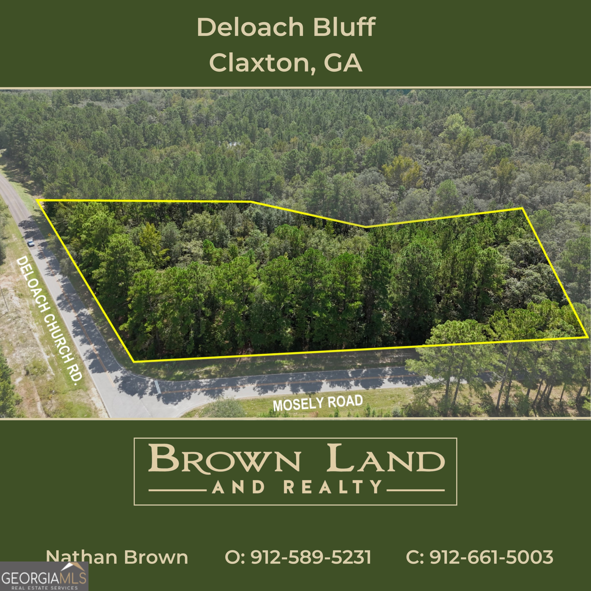 Deloach Bluff a 2.48-Acre Homesite. Discover the perfect setting for your dream home on this 2.48-acre tract. This property is graced with numerous majestic, large-circumference oak trees, offering both beauty and shade. Positioned on a bluff elevated above the paved road, the land overlooks a serene creek-run valley, creating a private and picturesque backdrop. With restrictions to stick-built homes only, this homesite ensures quality and consistency within the neighborhood. A truly ideal location to build your forever home. Listing is only for the 2.48 acre portion of the current Evans County Tax Pin Number. A single pin number has not been issued for this site only.