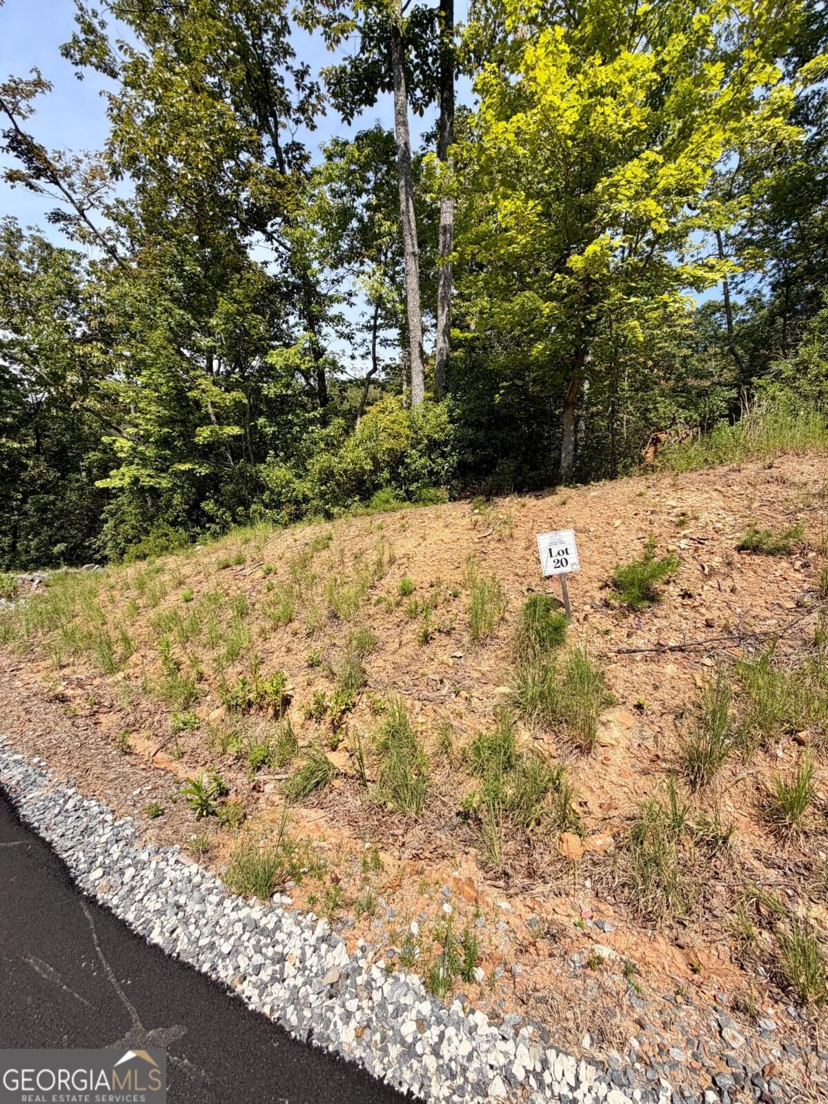 LOT 20 Turquoise RDG