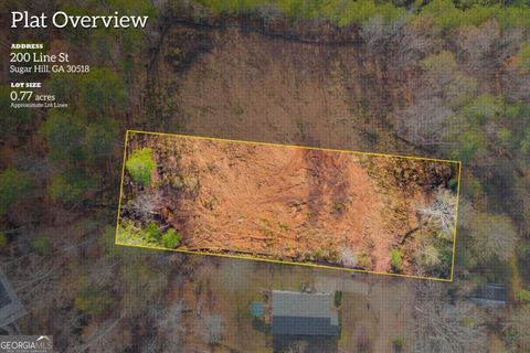 204 Line ST Buford GA 30518