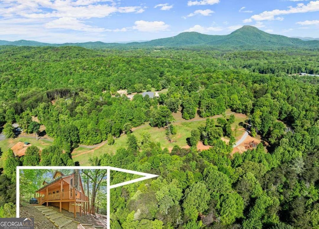 Photo of 2239 Dean Mountain Road, Cleveland, GA 30528 (MLS # 10838260)