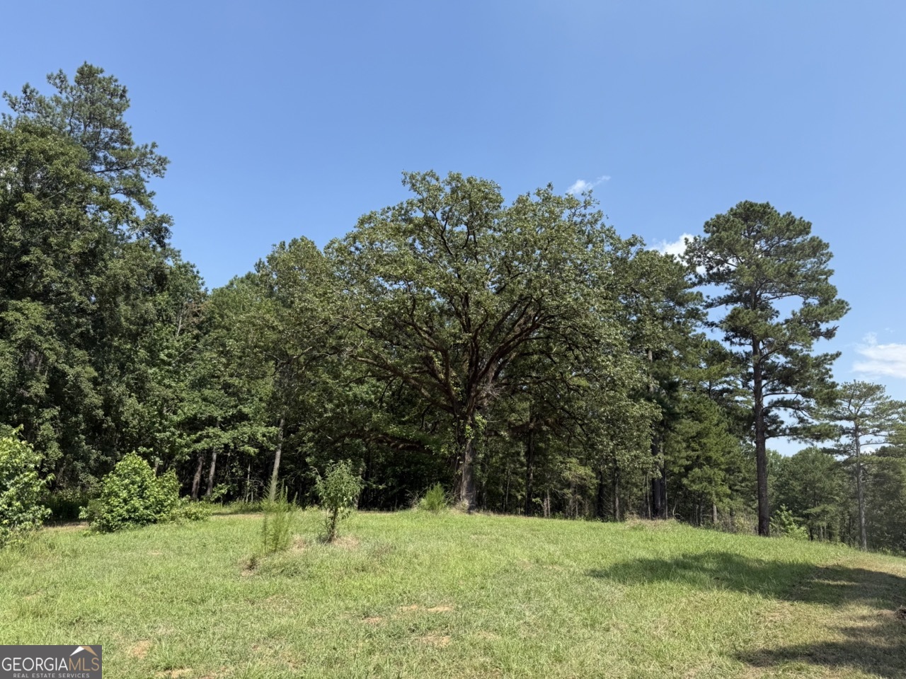 0 Rum Creek road