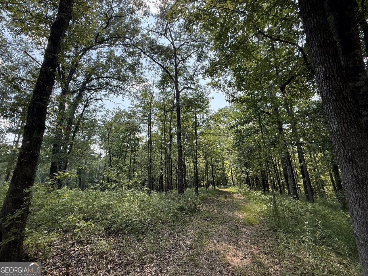 0 Rum Creek road