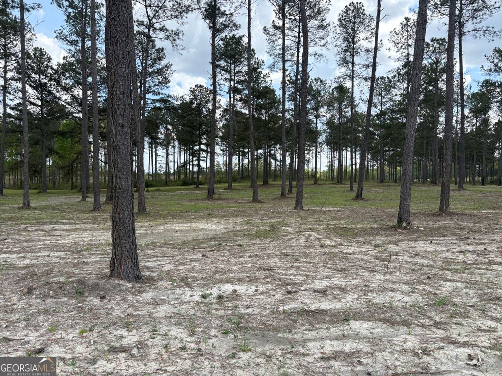 Photo of 4 DC Hardie Road, Gordon, GA 31031 (MLS # 10742191)