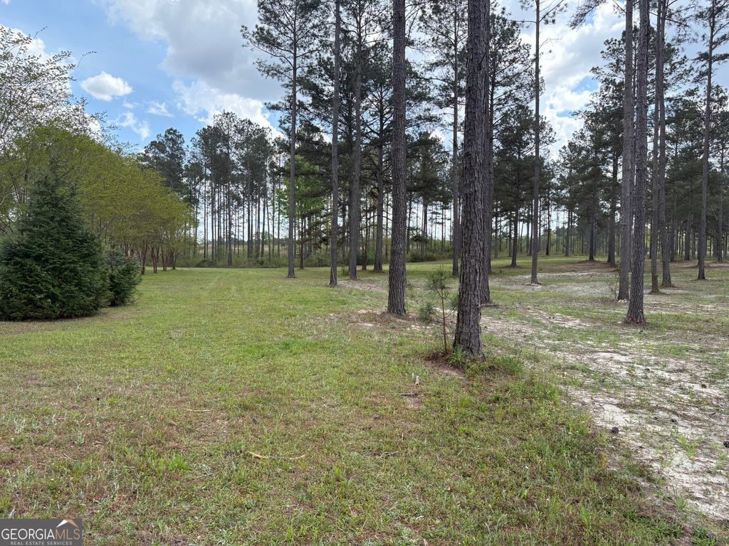 Photo of 4 DC Hardie Road, Gordon, GA 31031 (MLS # 10742191)