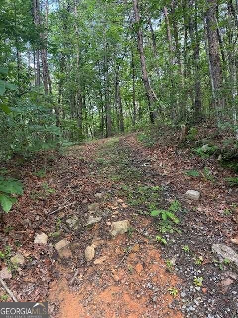 10.96 AC Paramount TRL Ellijay GA 30536