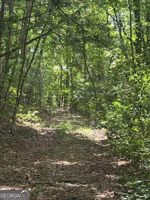 10.96 AC Paramount TRL