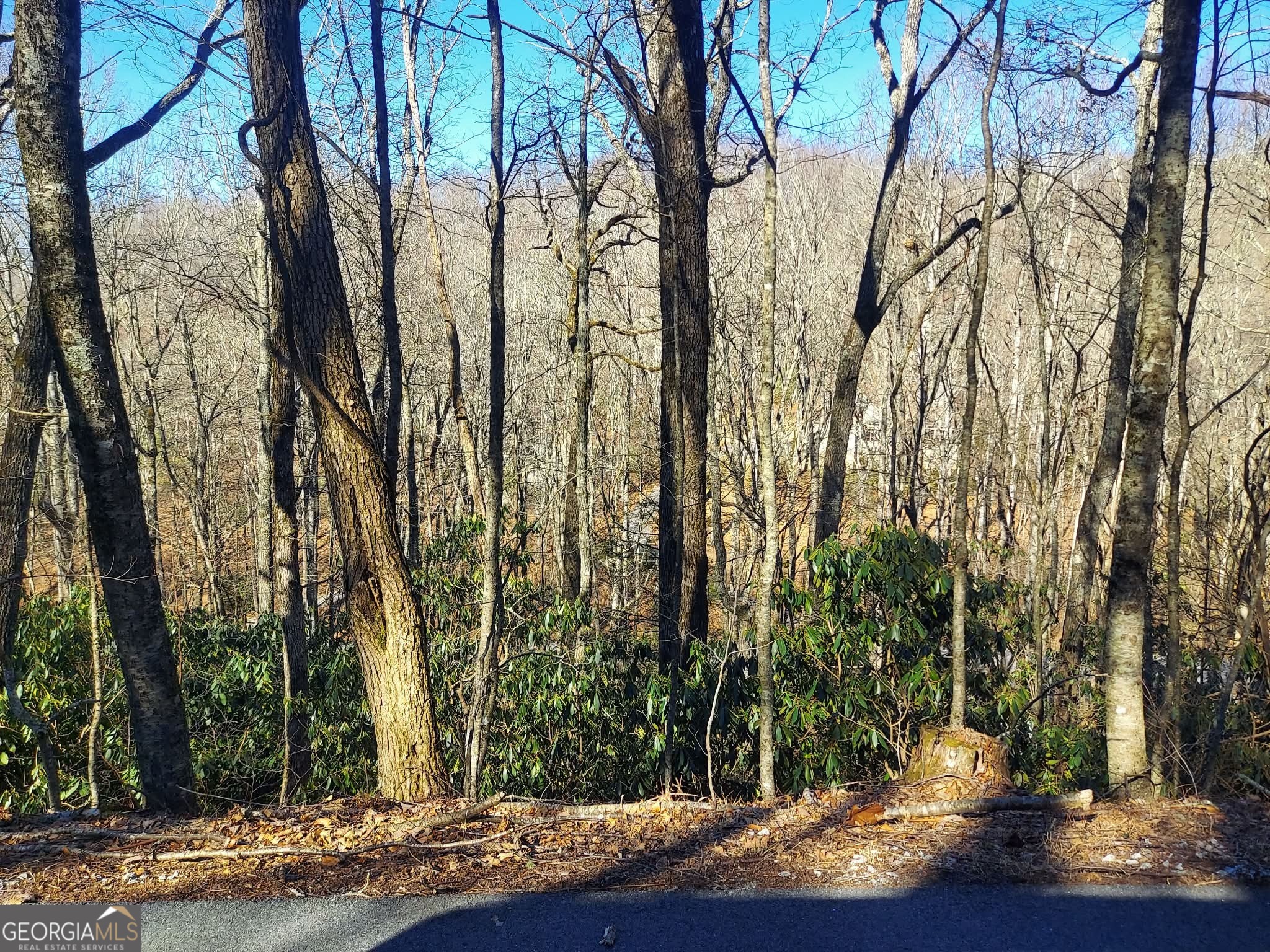 0 LOT 41 Rebel Circle