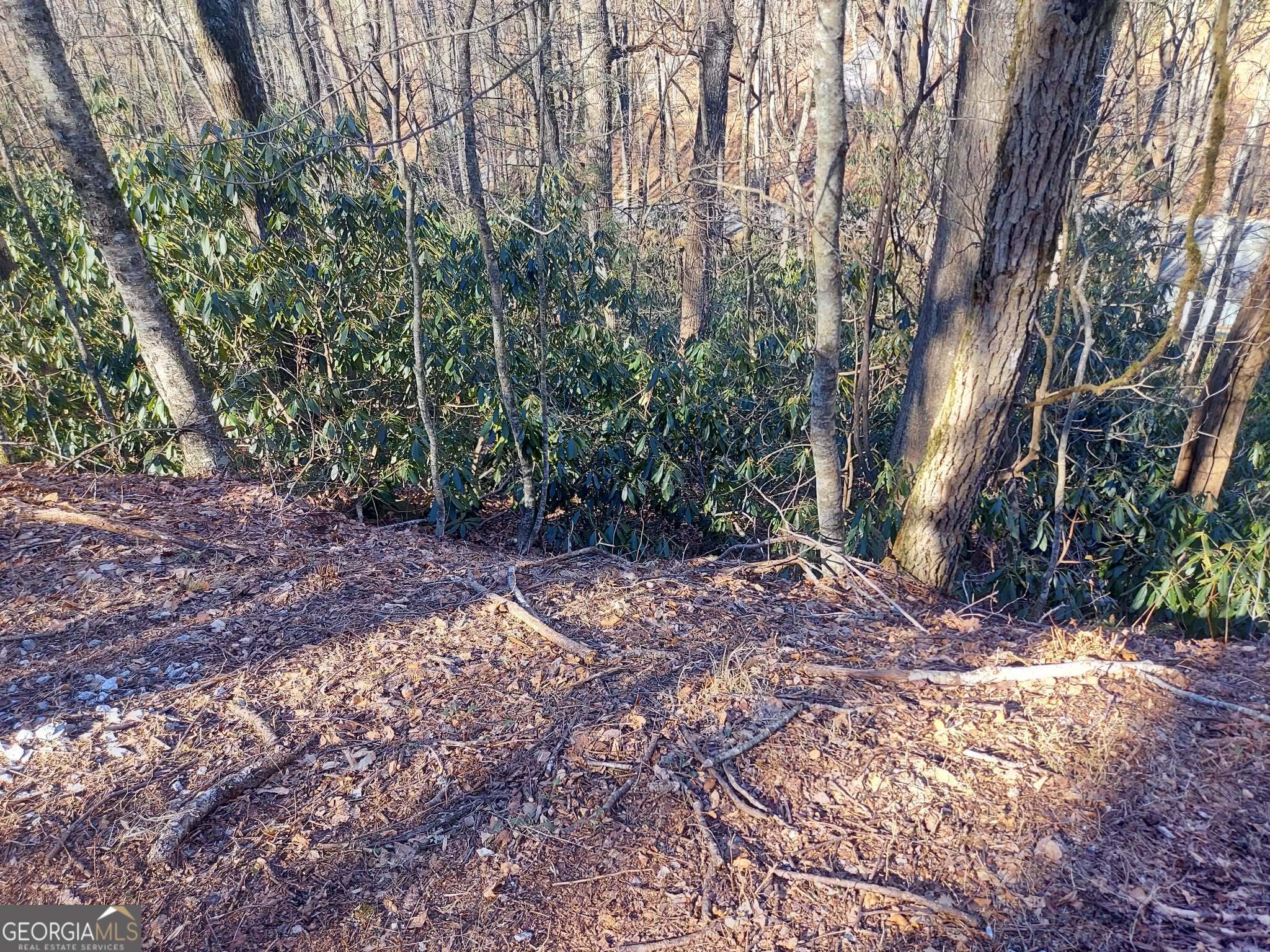 0 LOT 41 Rebel Circle