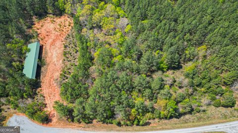 Photo of 0 LONG PINE LANE, ELBERTON, GA 30635 (MLS # 10657359)