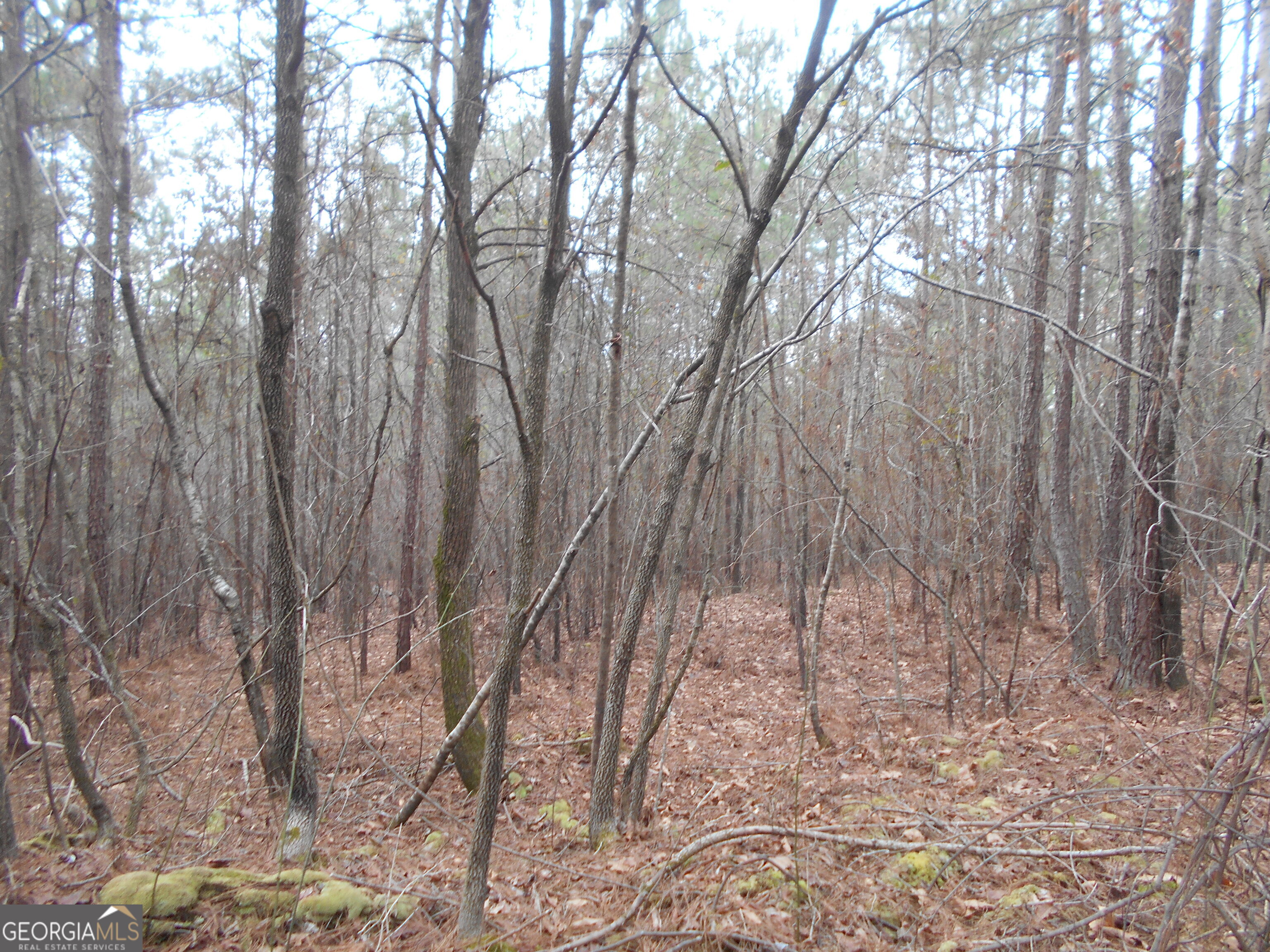 46 AC South Sharon Church Road